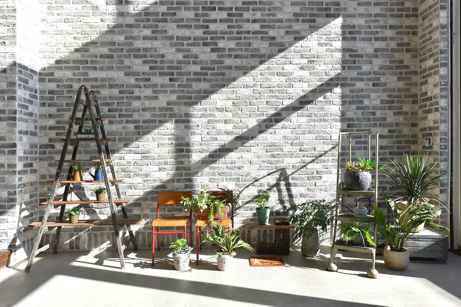 エントランス　31畳